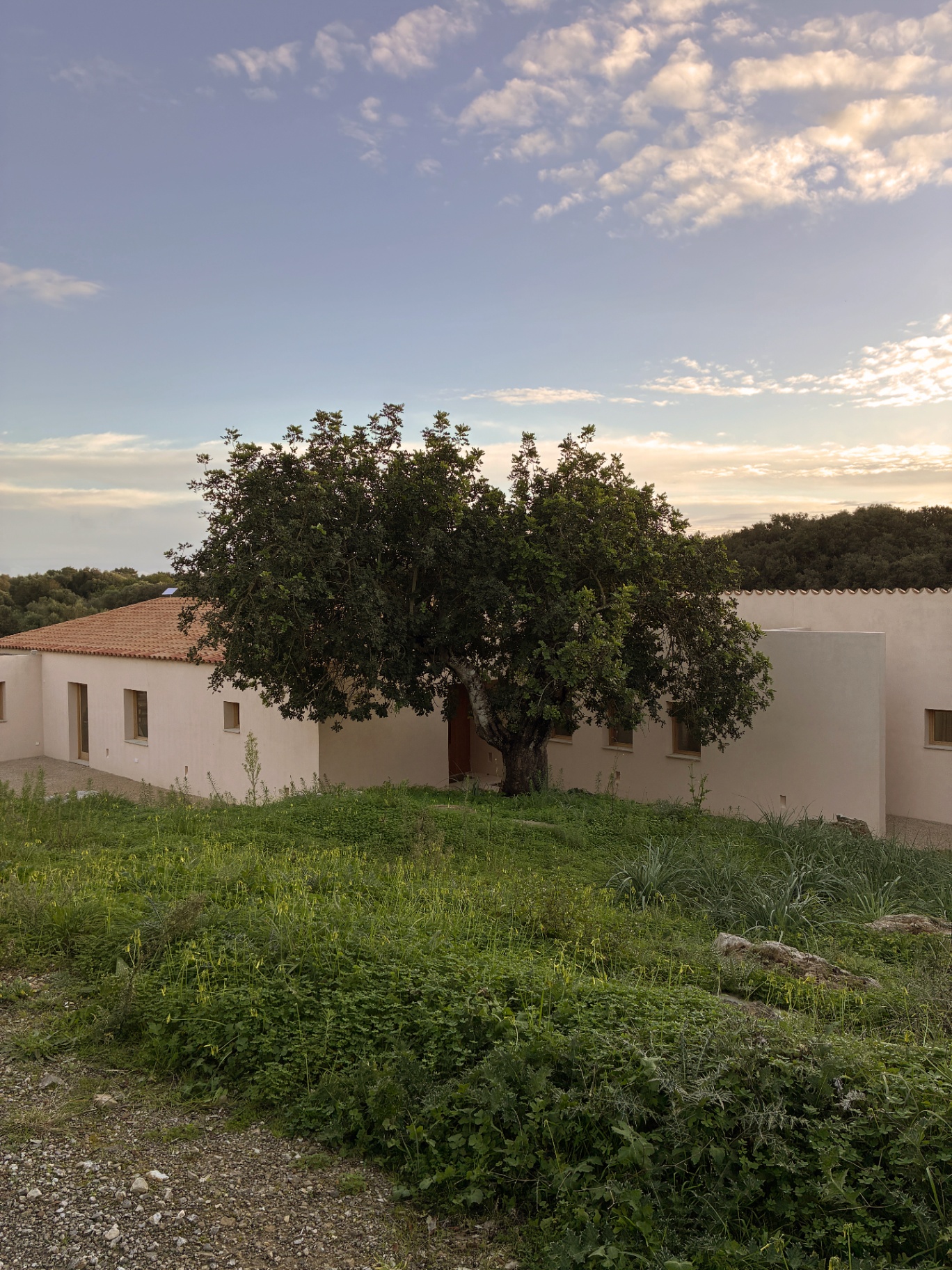 Villa Son Caminals
